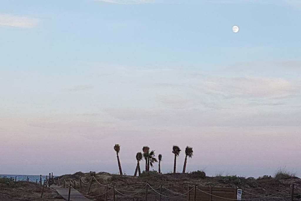 Vacaciones Canet Playa Lägenhet Canet d'En Berenguer Exteriör bild